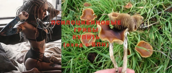 бошки Липки